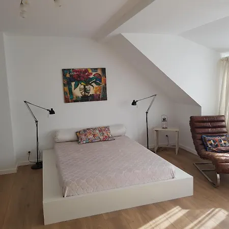 Maison Des Fleurs-3