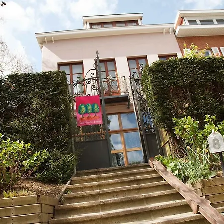 Guest House Les 3 Tilleuls-3