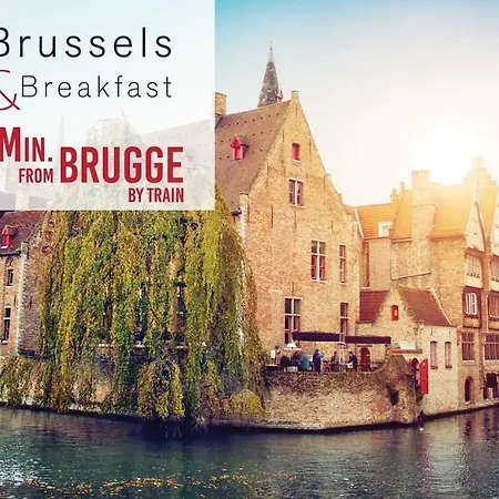 B&B X2Brussels-3
